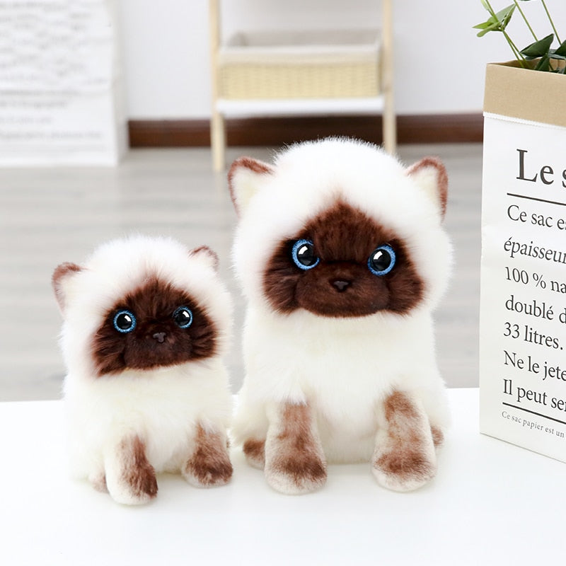 20-26CM Simulation Siamese Cat Plush Toy Blue Sequins Eyes Dolls Brown and White Face Ragdoll Cats Home Decor Cute Gift for Baby