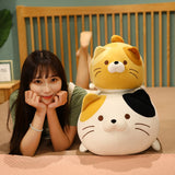 35/50/60cm Cute Fat Cat Plush Toys Stuffed Soft Animal Dumplings Cat Pillow Sofa Cushion for Girls Baby Doll Birthday Gifts