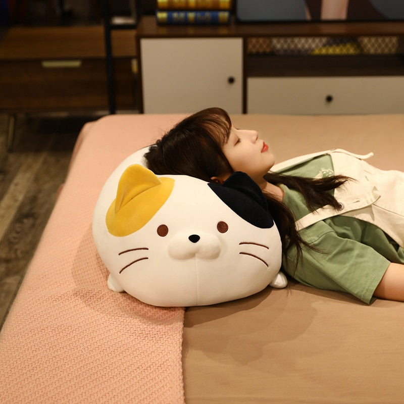 35/50/60cm Cute Fat Cat Plush Toys Stuffed Soft Animal Dumplings Cat Pillow Sofa Cushion for Girls Baby Doll Birthday Gifts
